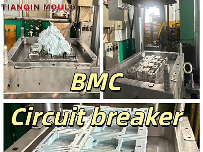 Precision BMC Mold Trial for Electrical Circuit Breaker