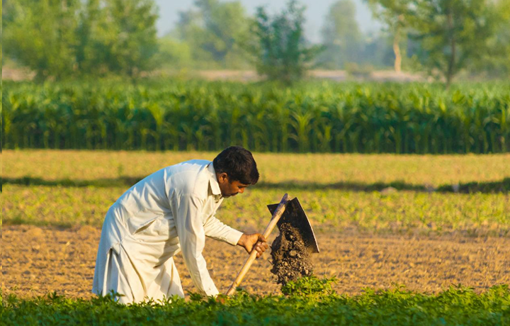 Are you a distributor?