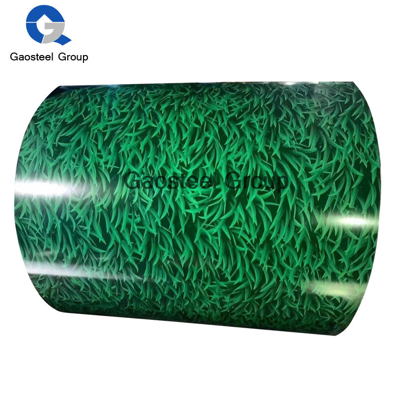 Color coated coil/PPGI Steel Coil