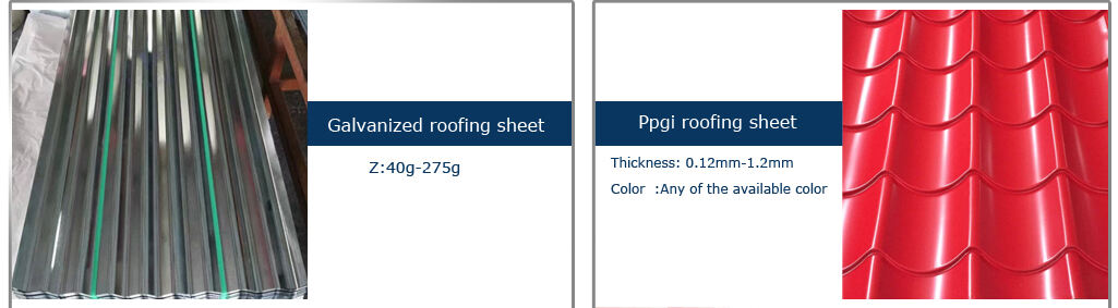 CLASSIFICATION 01.jpg