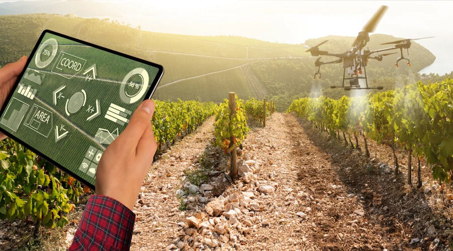 Crop Monitoring and Health Assessment