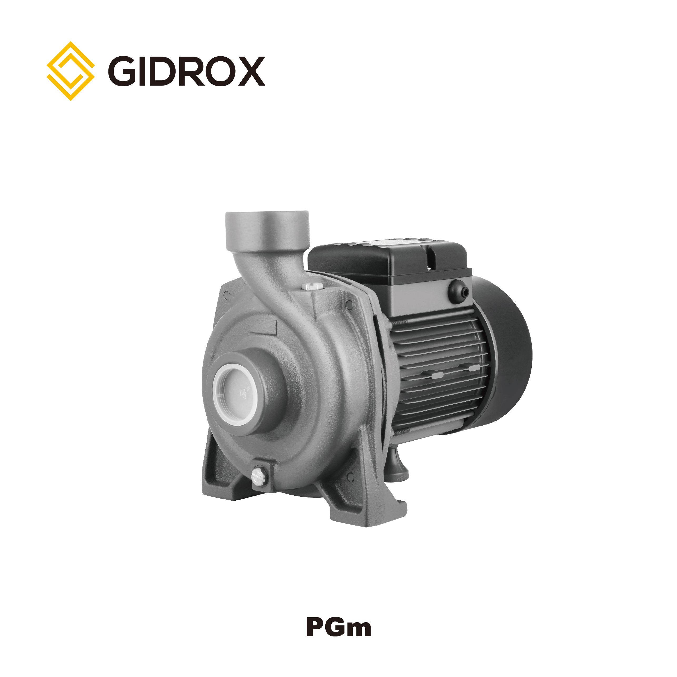 GIDROX CENTRIFUGAL PUMP-PGm