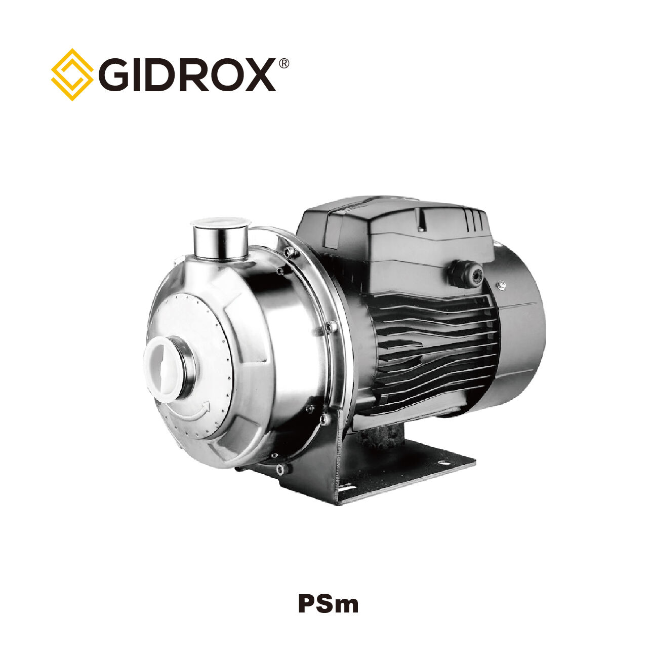 GIDROX PUMA YA CENTRIFUGAL YA CHUMVI ZA CHUMVI-PSm