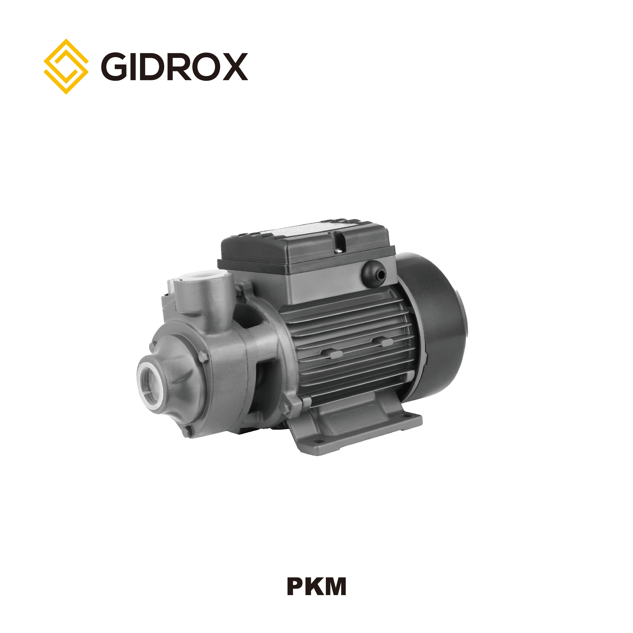 GIDROX PERIPHERAL PUMP-PKM