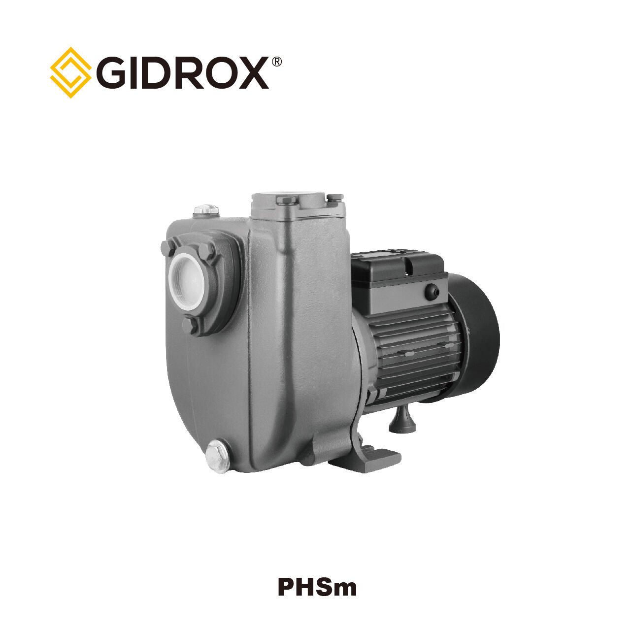 GIDROX PUMA IWEZO CENTRIFUGAL PUMP-PHSm