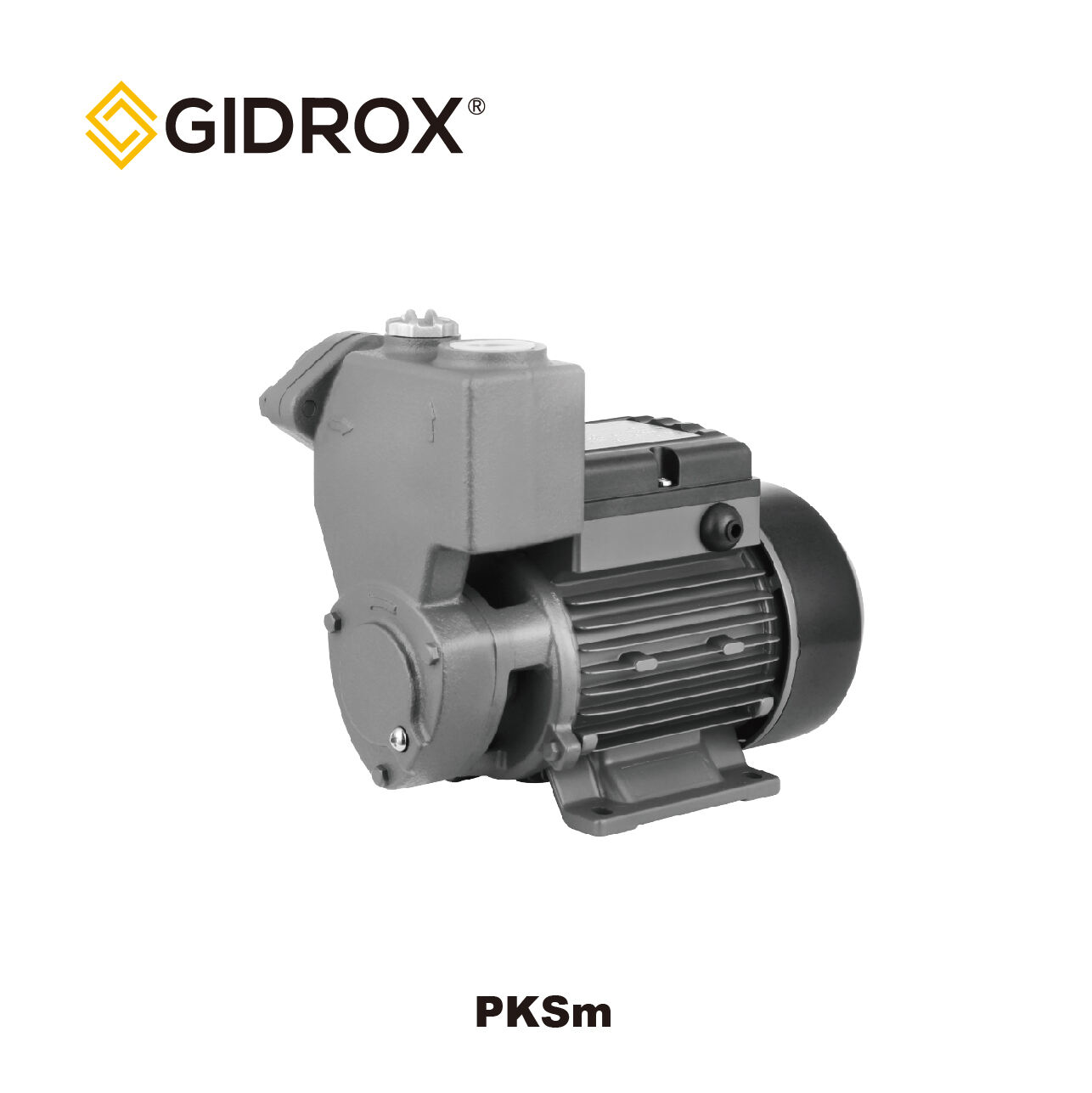 BƠM PHỦ BỀN TỰ HÚT-GIDROX-PKSm