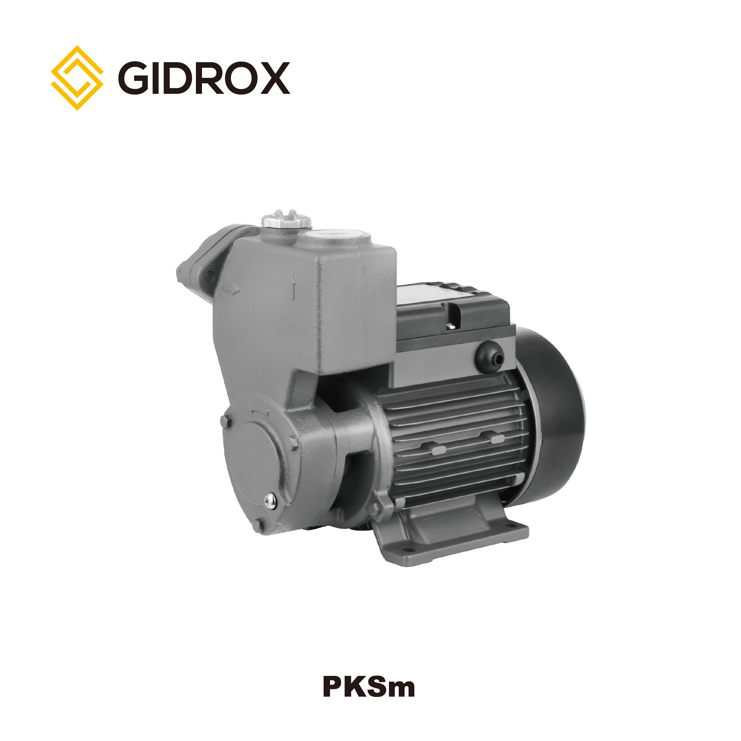 GIDROX SELF-PRIMING PERIPHERAL PUMP-PKSm