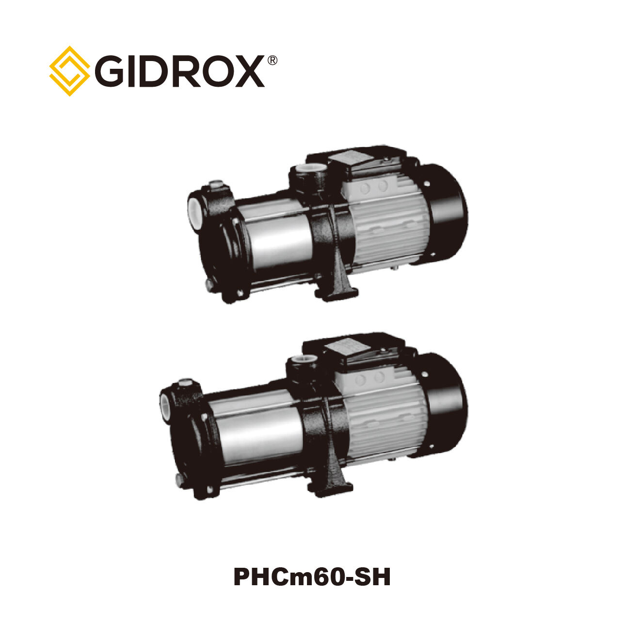 GIDROX SELF-PRIMING STAINLESS STEEL MULTISTAGE CENTRIFUGAL PUMP-PHCm60/90/145-SH