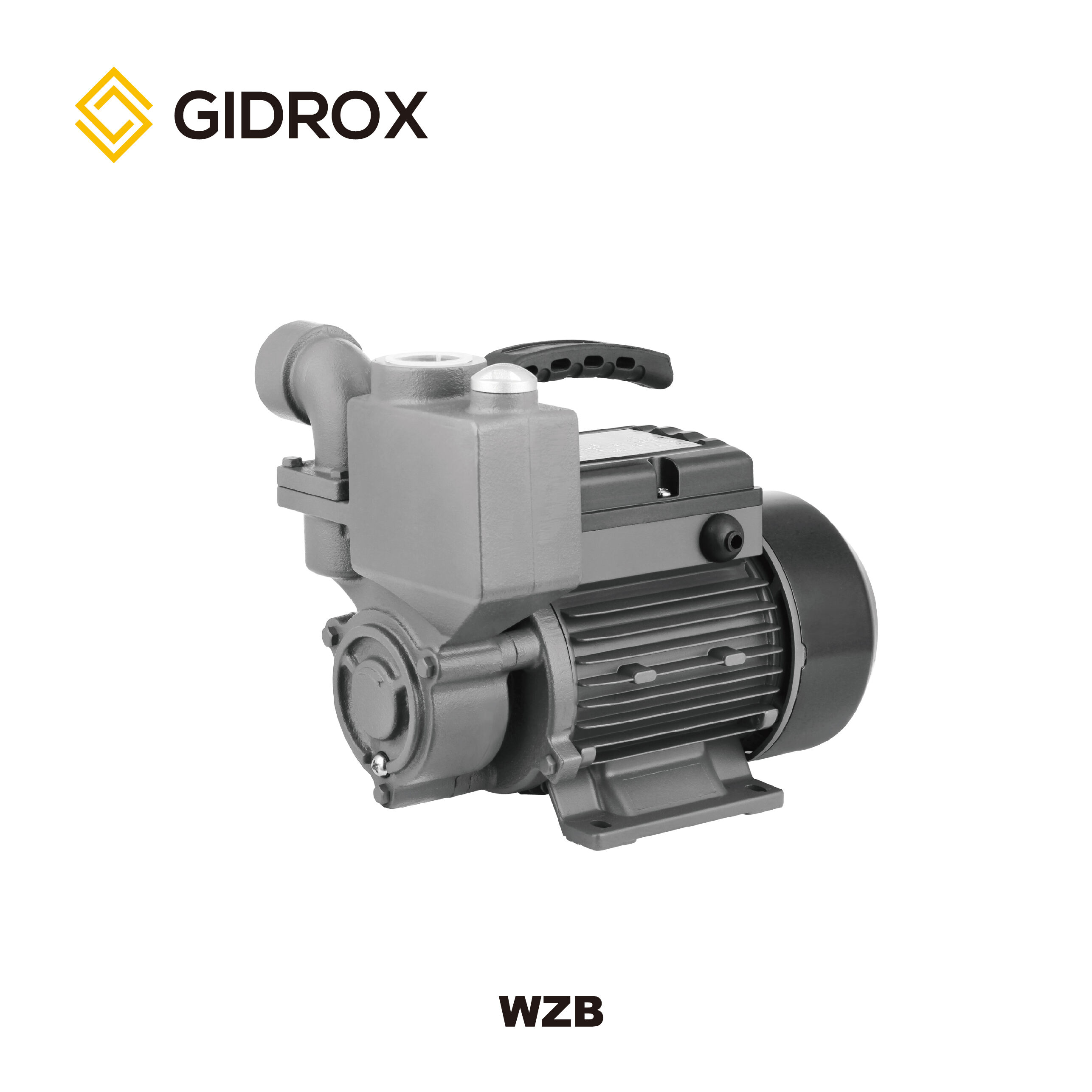 GIDROX SELF-PRIMING PERIPHERAL PUMP-WZB