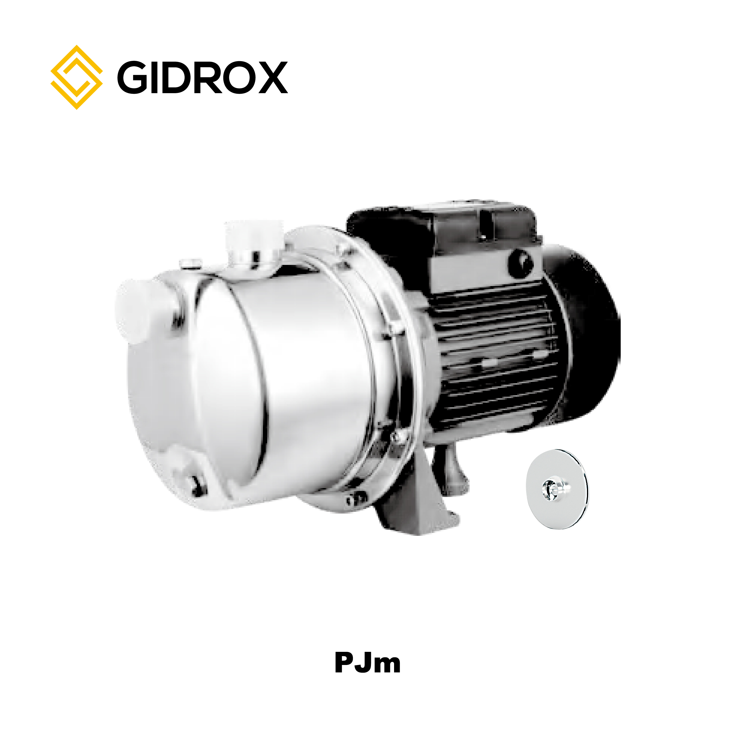 POMPA JET STAINLESS STEEL GIDROX-PJm