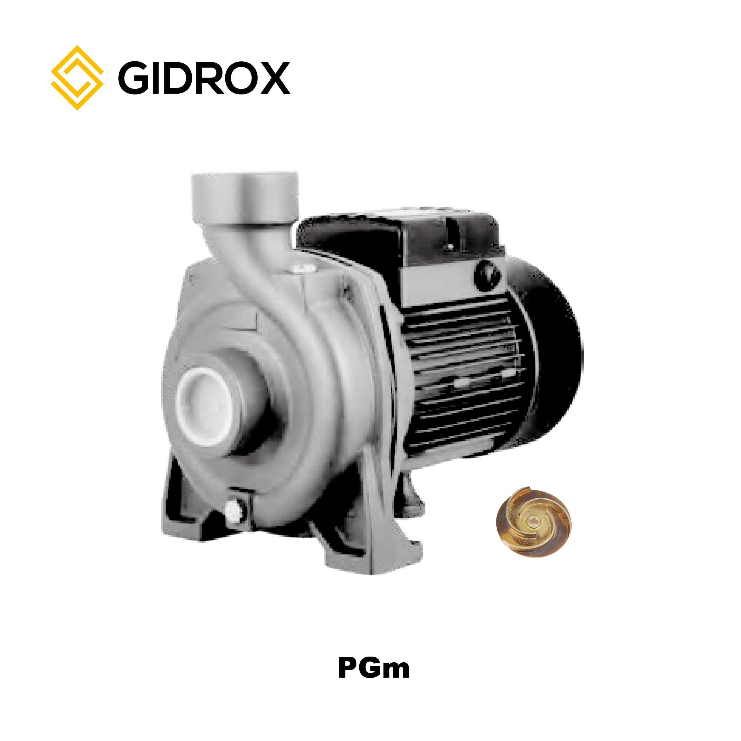 GIDROX CENTRIFUGAL PUMP-PGm