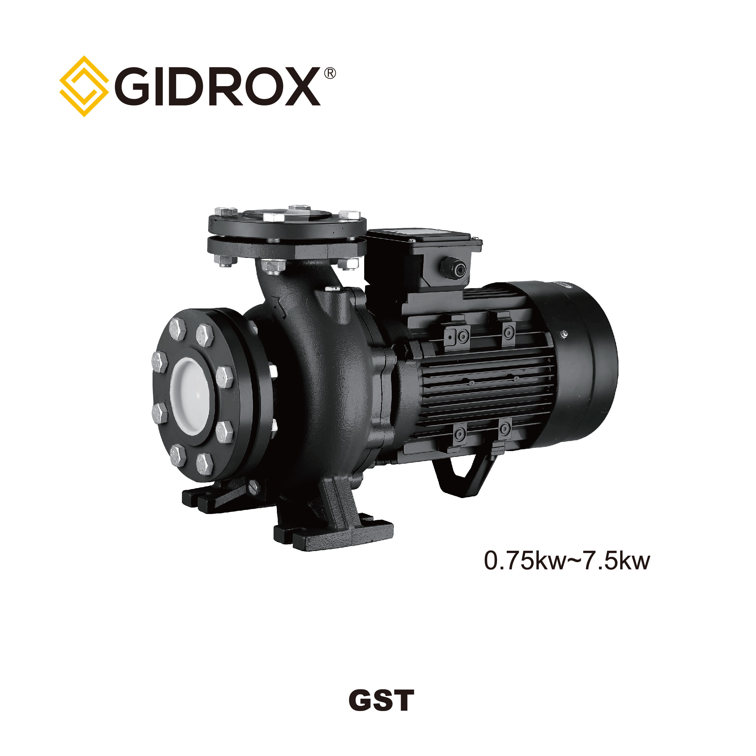 GIDROX СТАНДАРТНЫЙ ЦЕНТРИФУЖНЫЙ НАСОС-GST