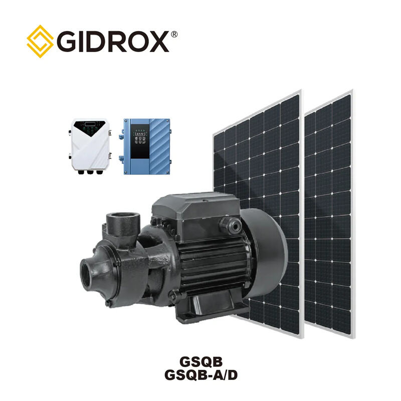 กรณีศึกษา: การติดตั้งปั๊มบ่อน้ำพลังงานแสงอาทิตย์ที่ประสบความสำเร็จในโครงการเกษตร