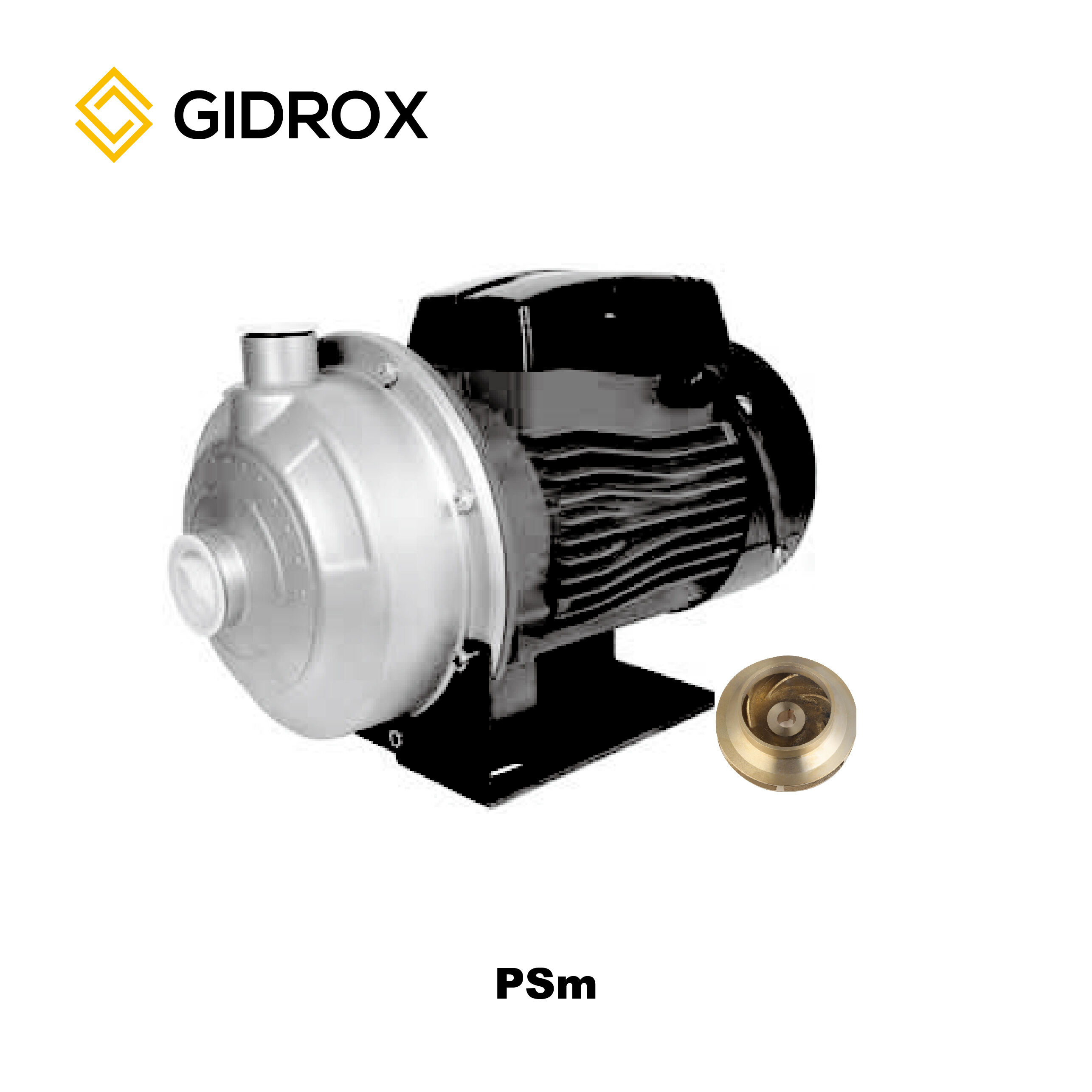 GIDROX STAINLESS STEEL CENTRIFUGAL PUMP-PSm