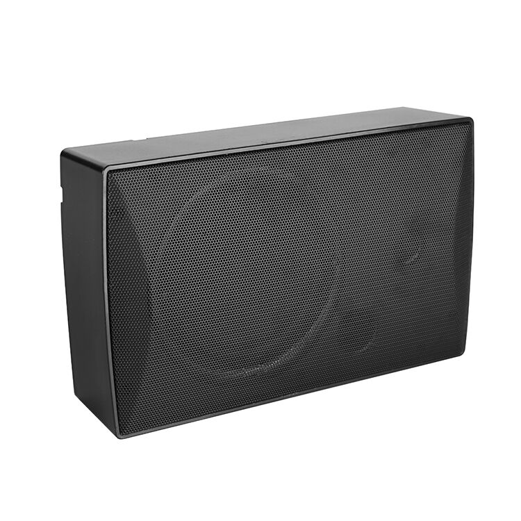 R-938 เครื่องเสียงติดผนัง ผนังติดเสียง arvox