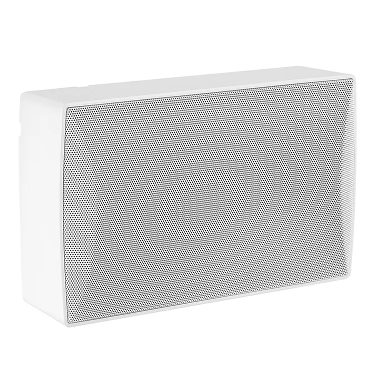 Wall-Mounted Speakers for Professional Conference Rooms