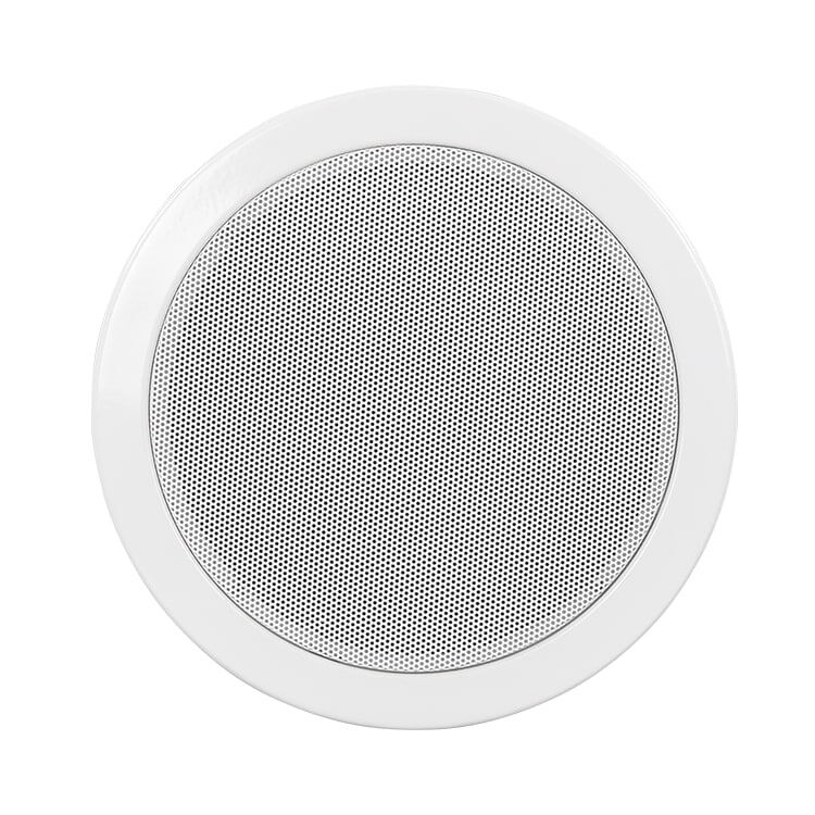 R-605/R-606/R-608 Ceiling Speaker