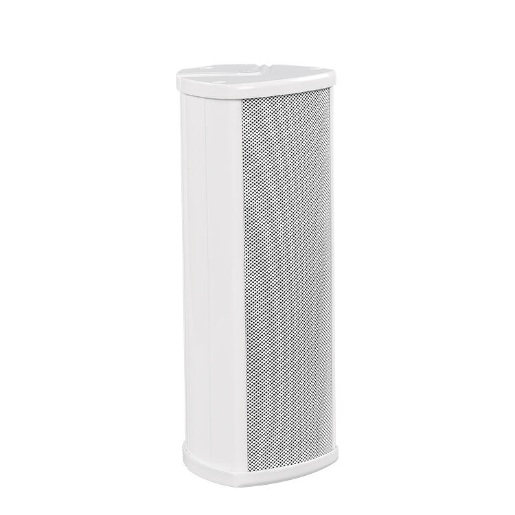 R-E310/R-E315/R-E320/R-E330 Column Speaker