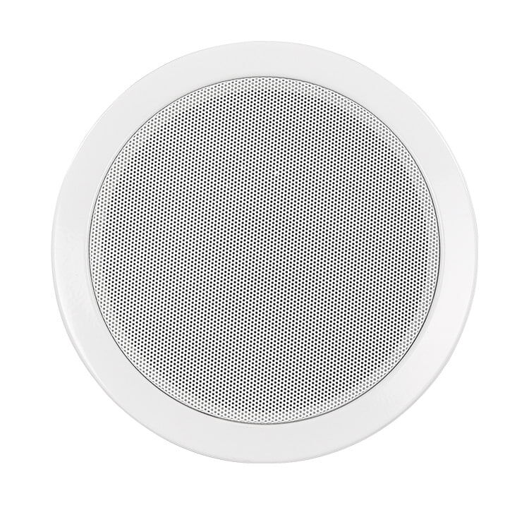 R-E06/R-E08 Ceiling Speaker