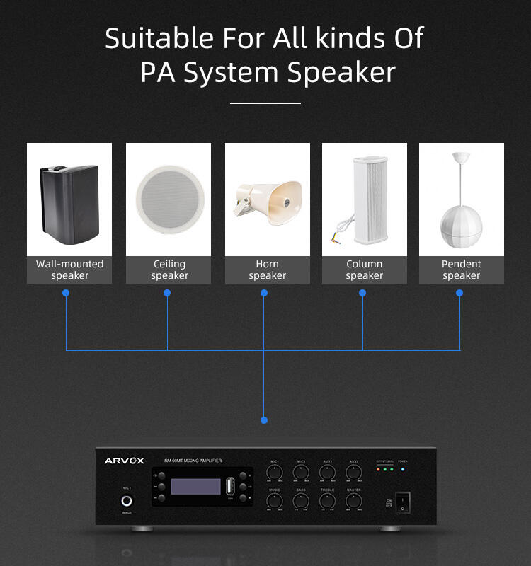 Mini Audio Source Amplifier (Mp3 Player, FM Tuner, Bluetooth, With 24V DC) supplier