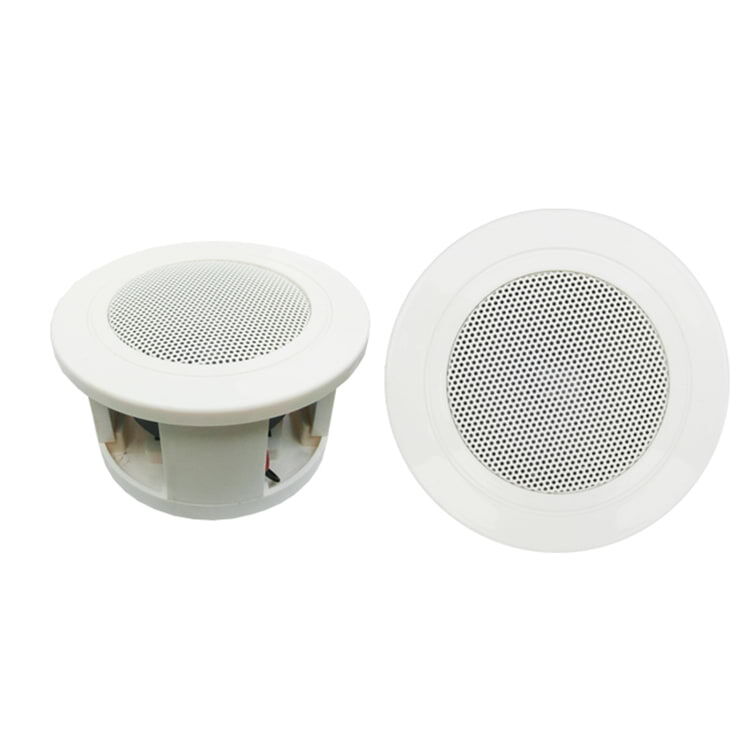 R-203 Ceiling Speaker