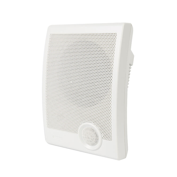 R-912 Wall-mounted Speaker