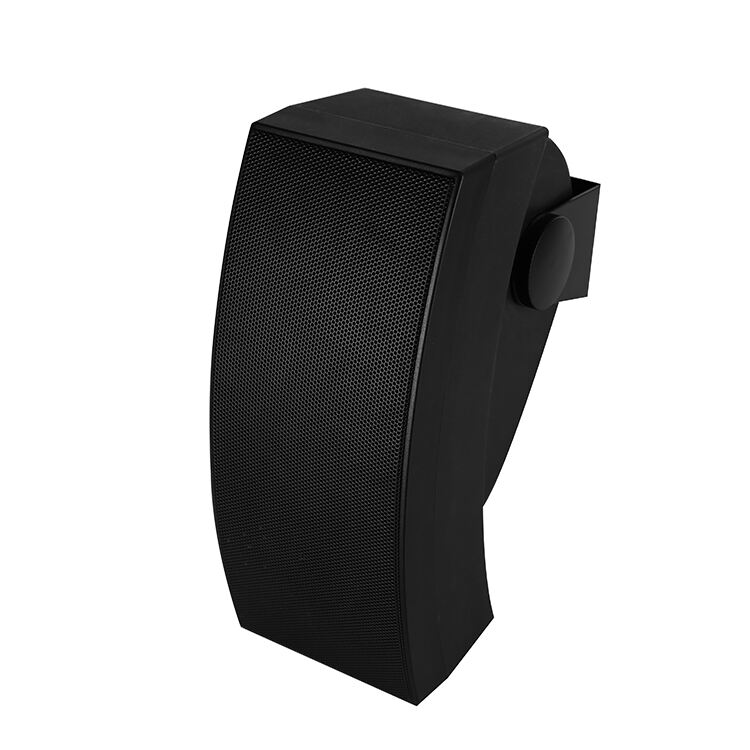 R-933/R-933V Wall-mounted Speaker