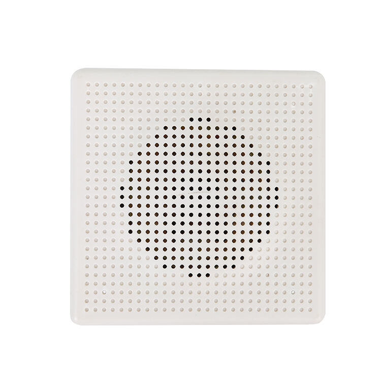 R-814 Wall-mounted Speaker