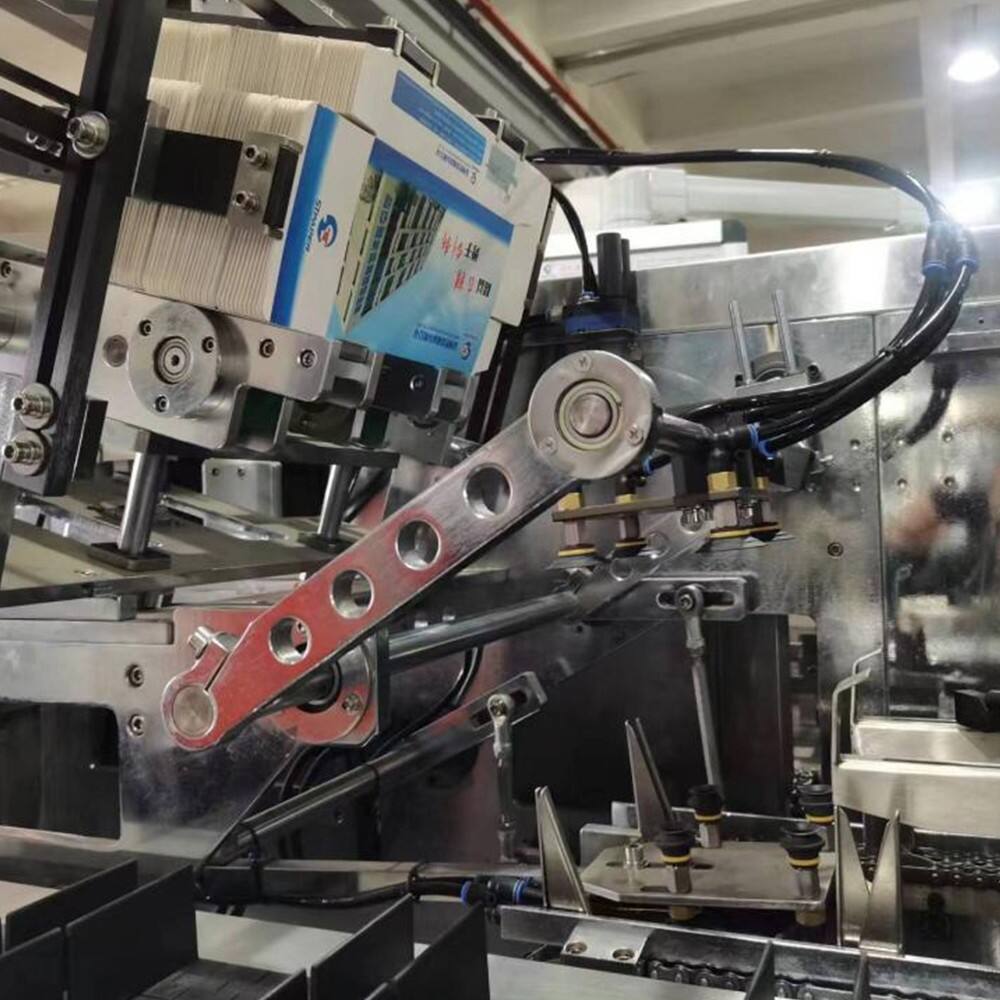 STZ-260 Steak Cartoning Machine details