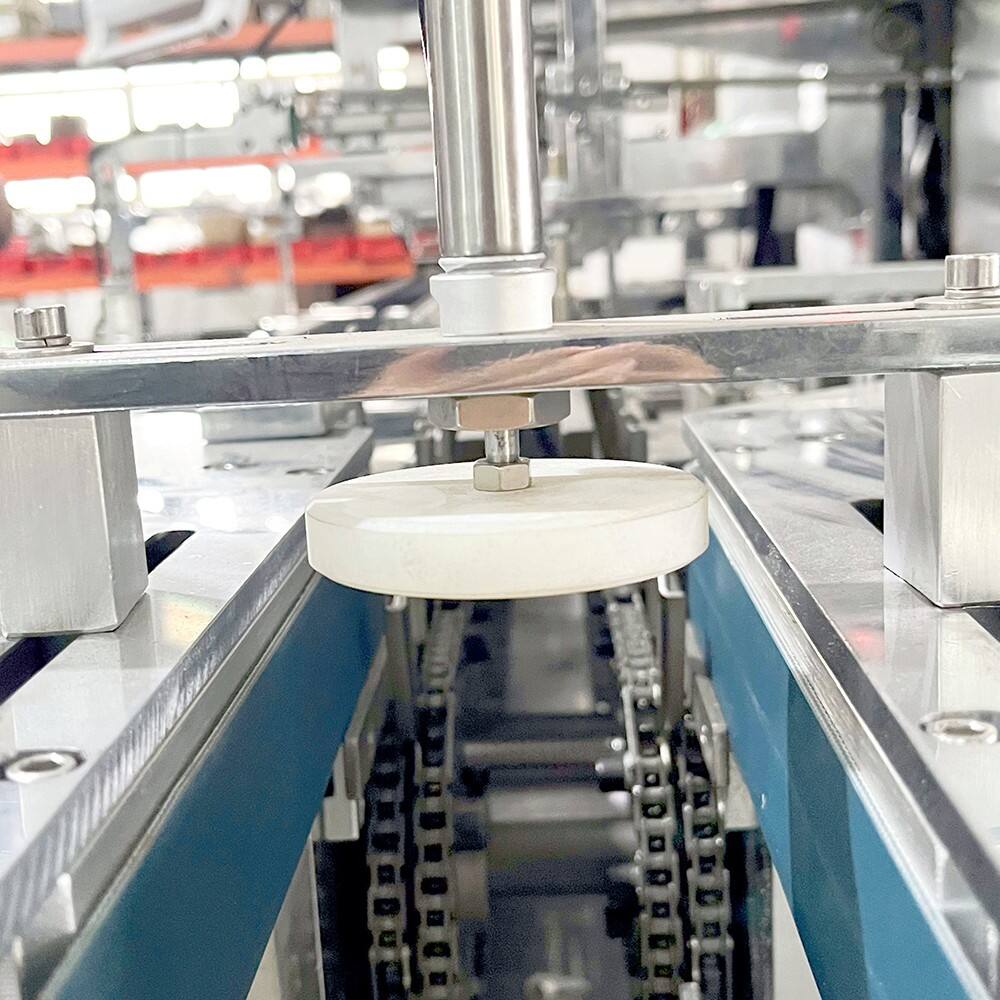 STZ-120 Biscuit Cartoning Machine manufacture