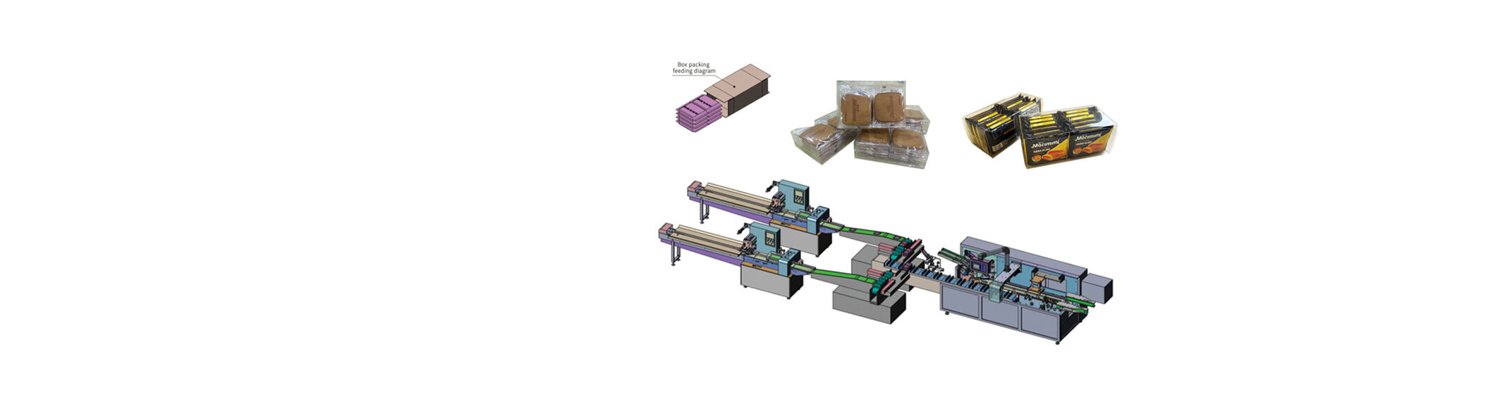 Wenzhou Shengtai Machinery Co., Ltd. | Industrial Machinery Solutions