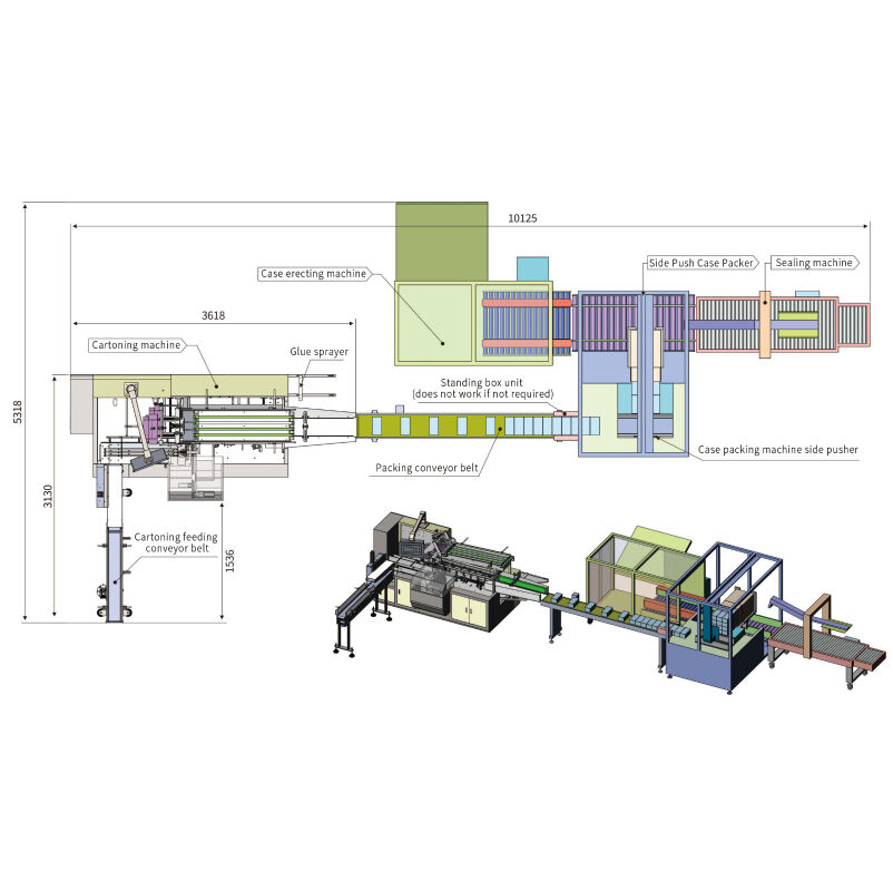 Cartoning Machine - Packing Machine Online