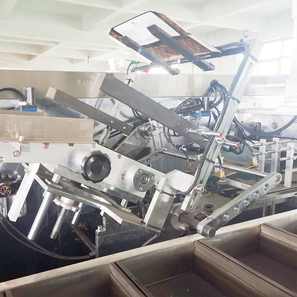 STZ-260 Steak Cartoning Machine factory