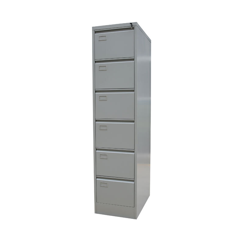 6 Drawer Vertical Cabinet<br>BF-V06