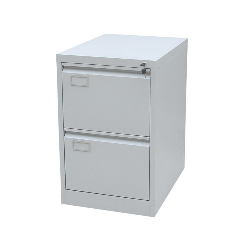 2 Drawer Vertical Cabinet<br>BF-V02