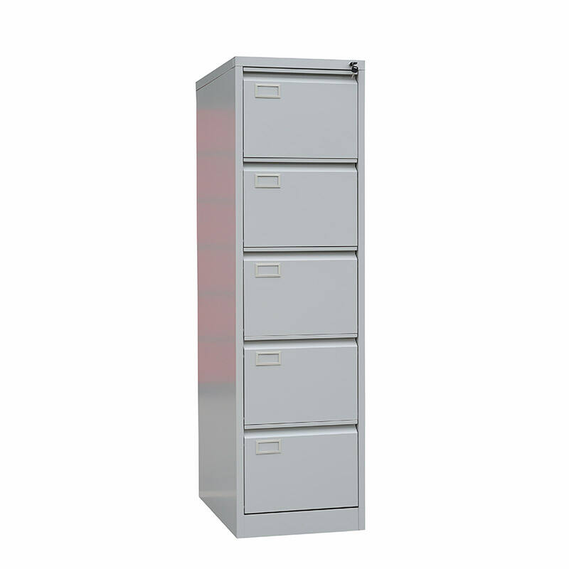 5 Drawer Vertical Cabinet<br>BF-V05