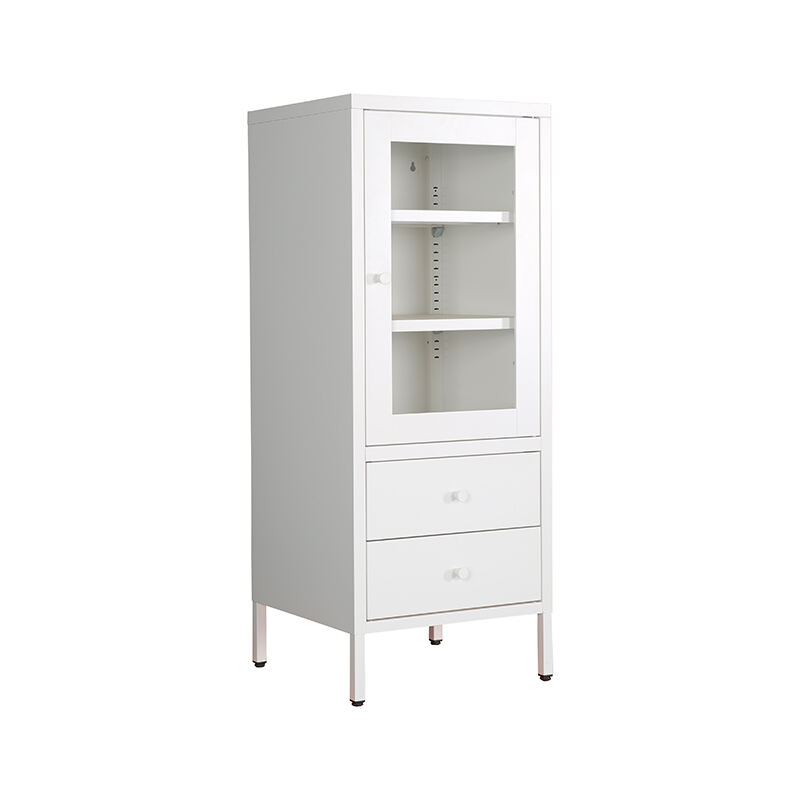 European Style Home Furniture Use Vertical Steel Glass Doors Cabinet Kitchen Cupboard Design Steel Tal Locker for Kids Room