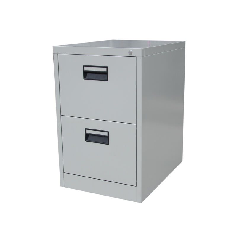 Metal 2 Drawer File Cabinet<br>BF-V02A