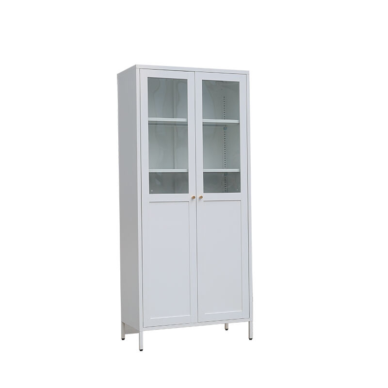 Nhà Cung Cấp Nội Thất Thép Thiết Kế Hiện Đại Tủ Lưu Trữ Kết Hợp Kệ Sách Sử Dụng Trong Gia Đình