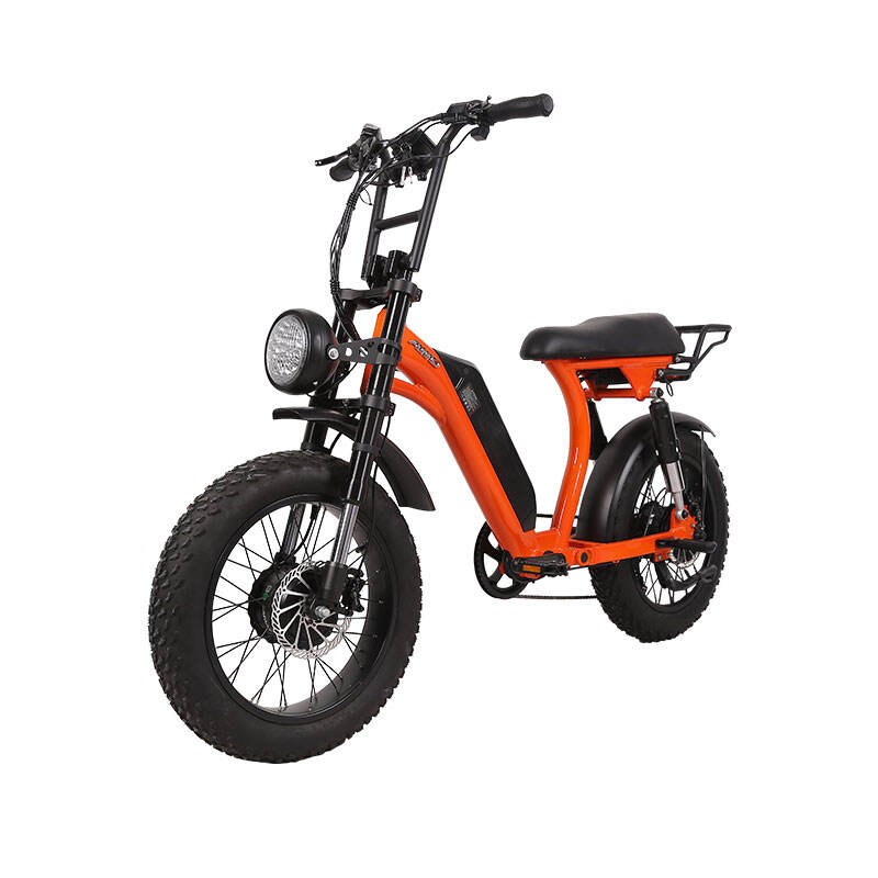 Lüks 2 Tekerlek Uzun Menzilli 750*2 Dağ Turbo eBike Süper R2