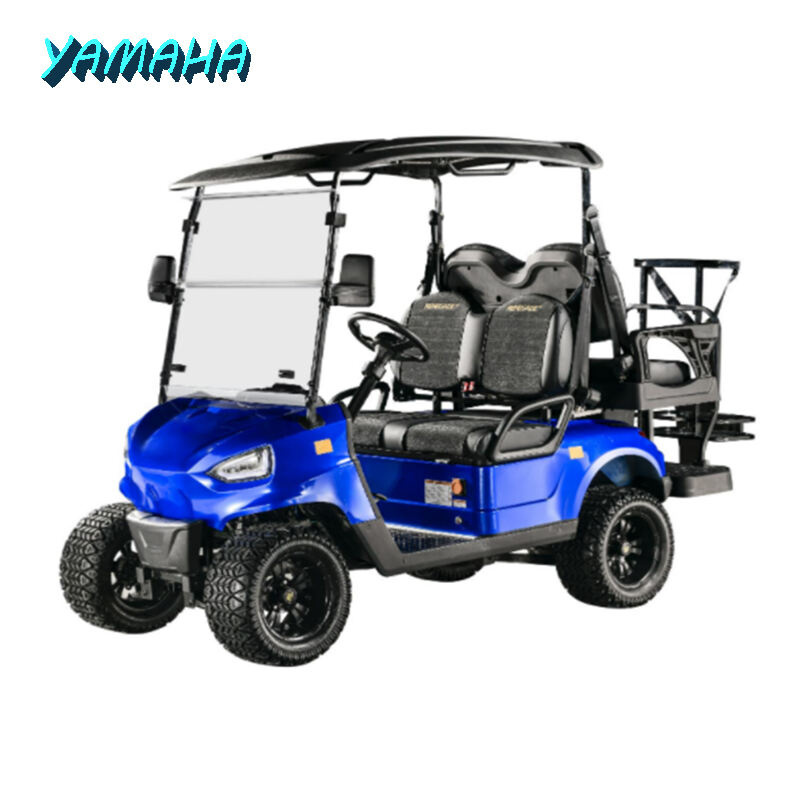BSR40ELG - Chariot de golf 4000W 48V 100AH refroidi par air, propulsion arrière, grande autonomie 60-70 km