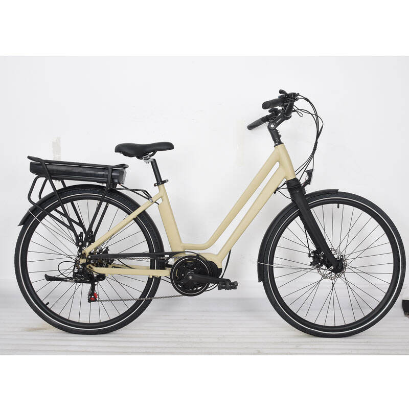 36V 250W Mid Drive Stadsstil eBike CEB-009B