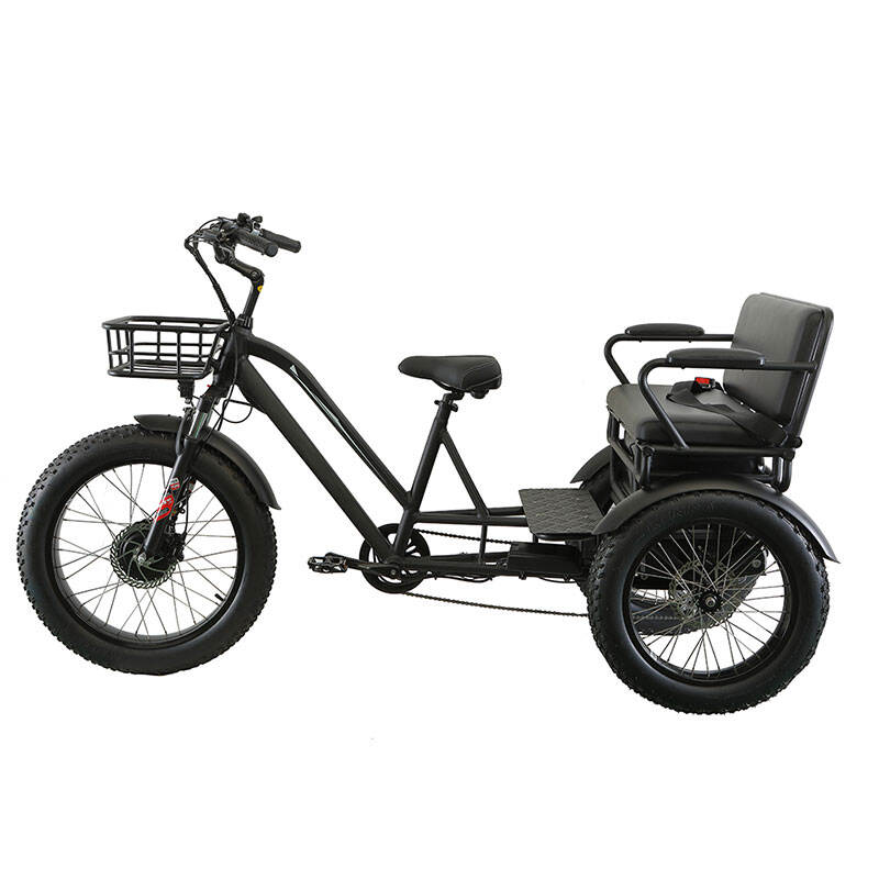 Wholesaler Custom Trike Electric Bike Supplier