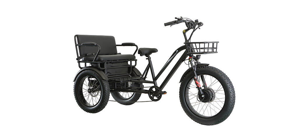 Wholesaler Custom Trike Electric Bike Supplier details