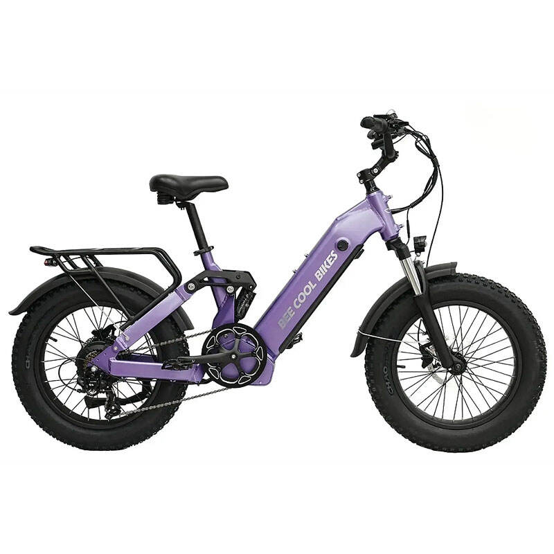 Factory Custom Adult Electric Mountain Bike Electric Bicycle Ranger 