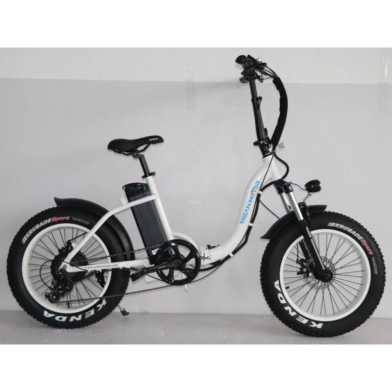 750W 48V 18Ah Lithium 7 Speed 20*4.0