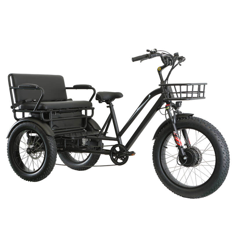 500W 48V 21Ah Rickshaw Triciclo de Pasajeros de 3 Ruedas Bicicleta Eléctrica P-Trike