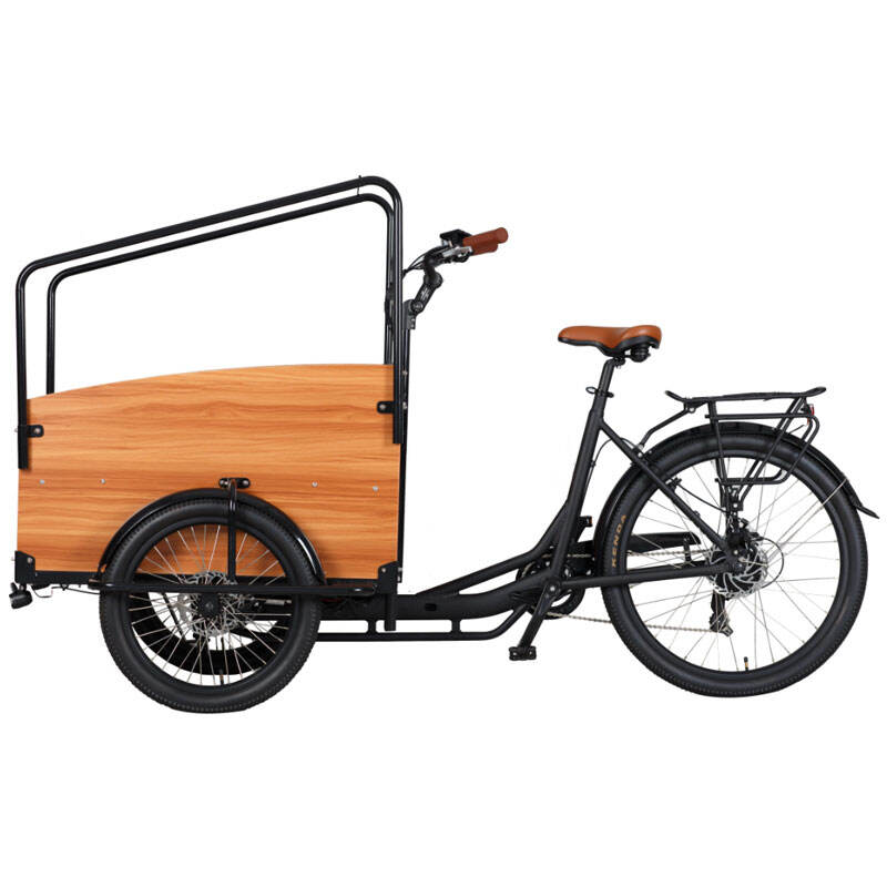 48V 500W Forranlastende Cargo/Barnabærer Trikesykkelen BABY TRIKE I