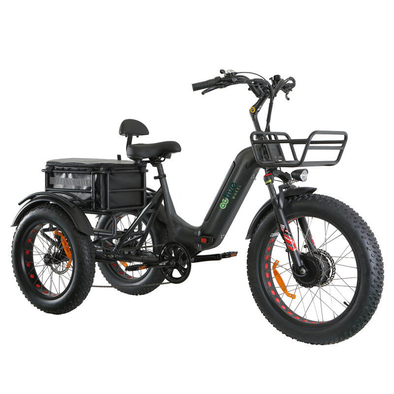 750W 48V UL2849 Three Wheel Electric Trike Cargo Bike For Adults Polaris Plus