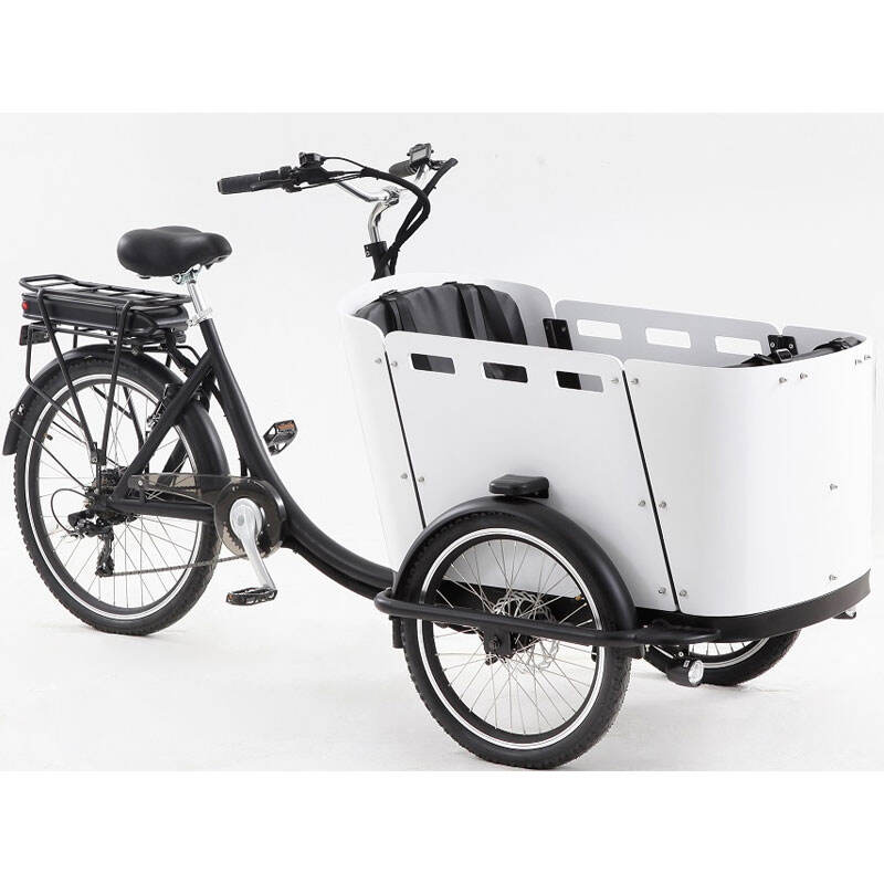 36V 250W Forranlastende Cargo Sykkel Familiebruk Cargo Elektrisk Sykkel Rickshaw BABY TRIKE II